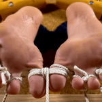 Tight toe bondage for puppy paws