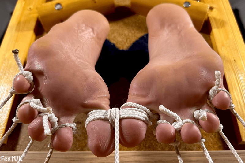 Tight toe bondage for puppy paws